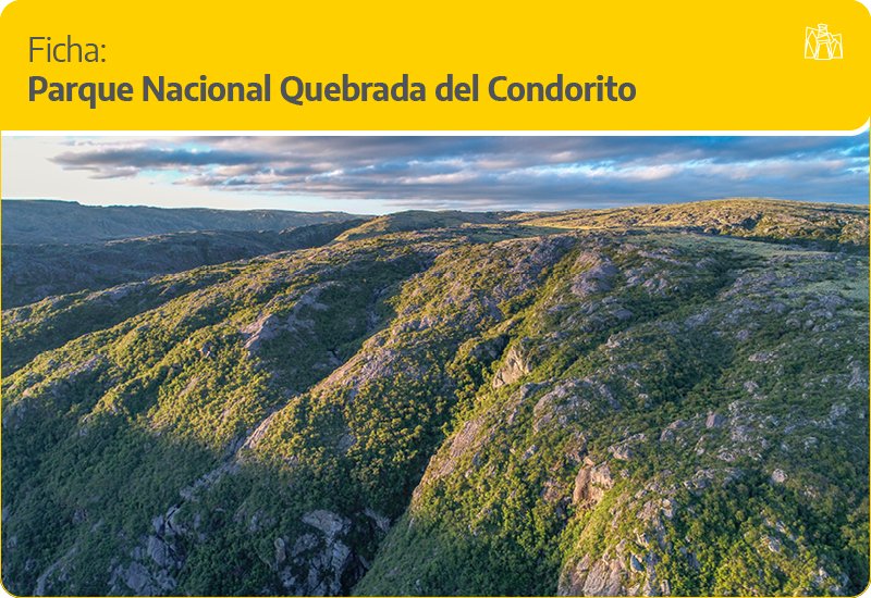 La Resistencia de los Yacarés La batalla por el Parque Nacional Quebrada del Condorito Argentina