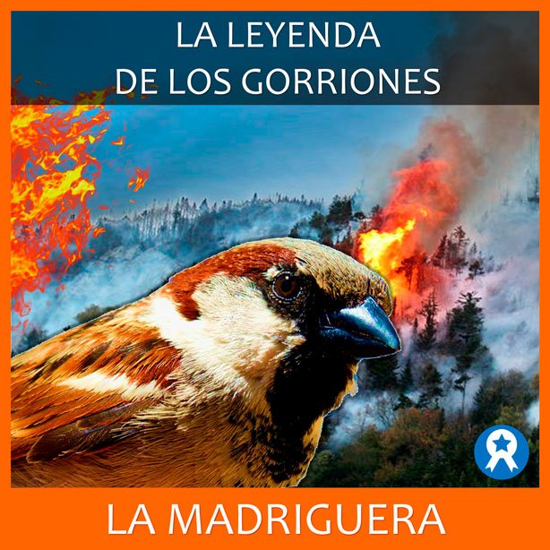 La Revolución de los Gorriones Un Motín Olvidado en el Río de la Plata Argentina