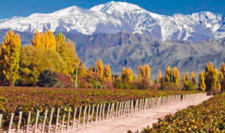 La Fundación de la Ciudad de Mendoza Un Legado en las Montañas Argentina