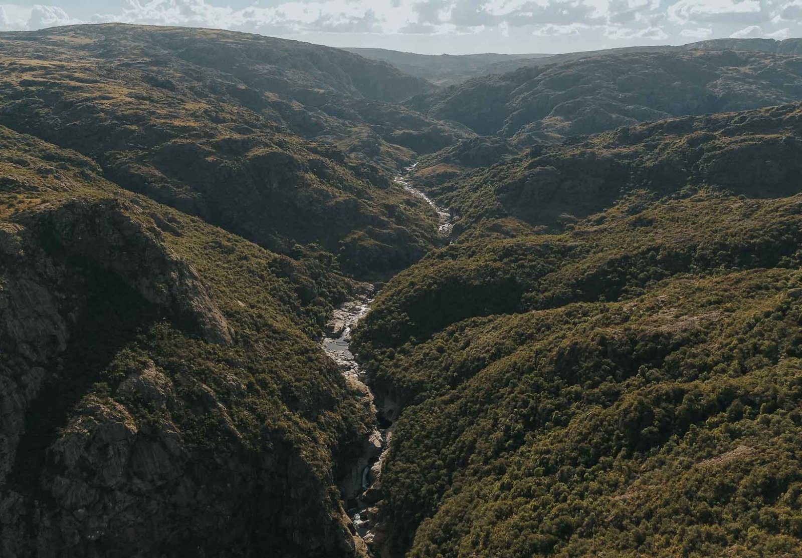 La Fundación del Parque Nacional Quebrada del Condorito Argentina