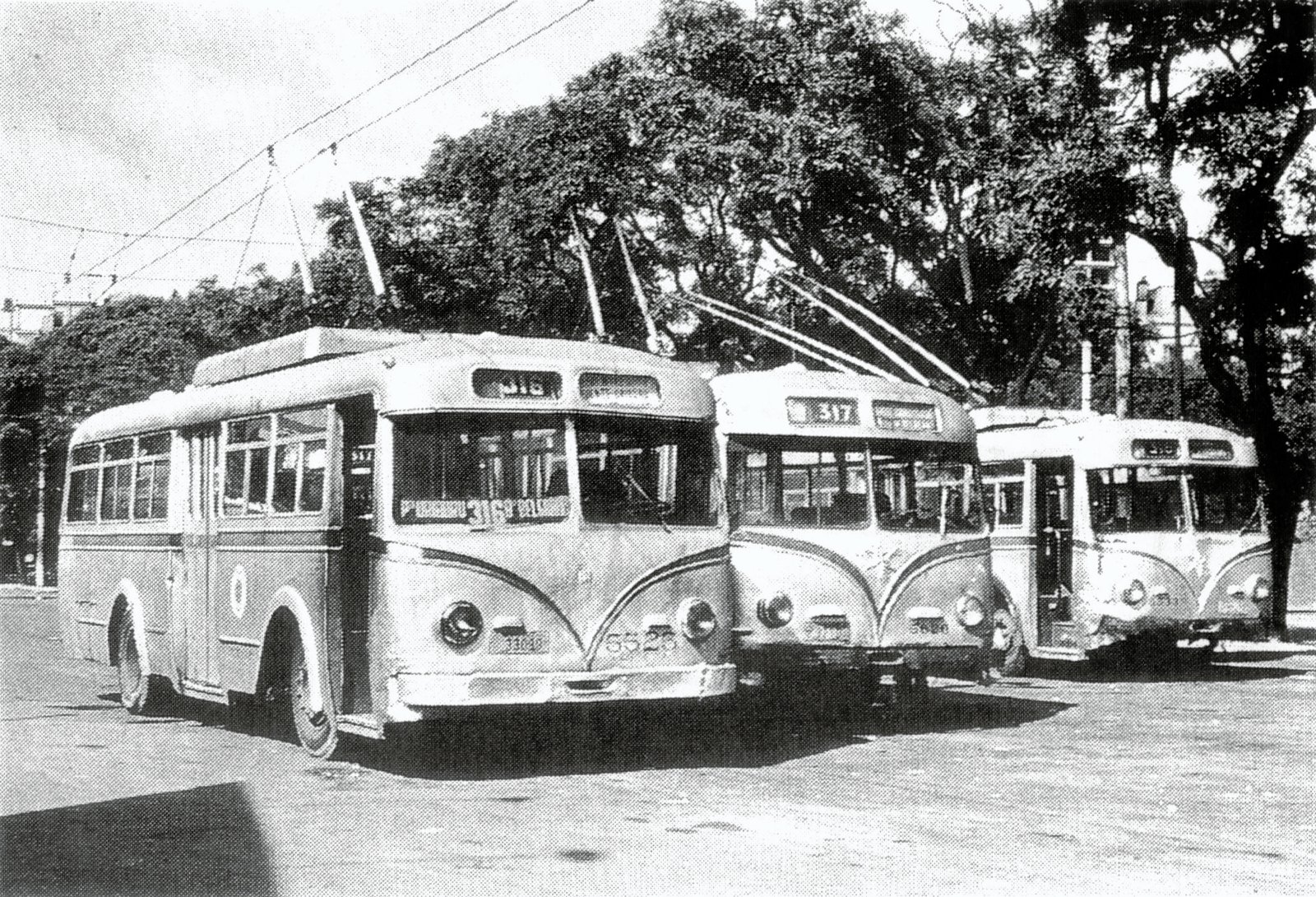 El Primer Servicio de Transporte Público de Buenos Aires 1886 Argentina