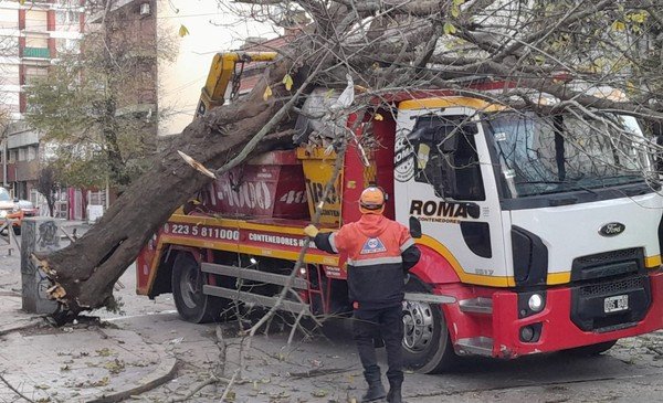 Imagen destacada de noticia