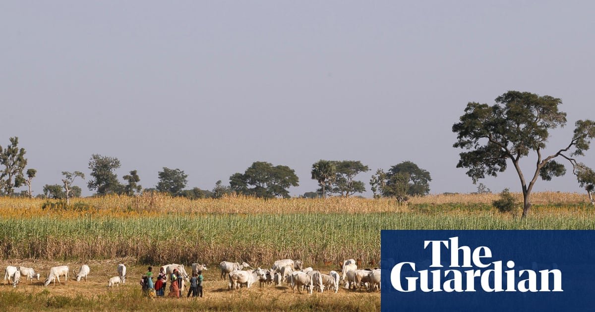 Desgarradora realidad en Benue: Una ola de violencia sin fin En el corazón de Nigeria, específicamente en el estado de B... Descubre más sobre enfatizando, e...