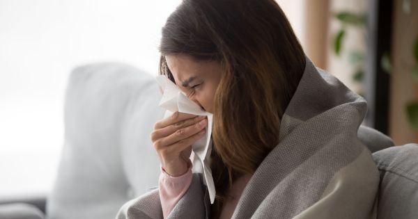 La albahaca: un aliado inesperado contra los resfriados invernales Con la llegada de las temperaturas bajas, la salud pú... Descubre más sobre internet, impu...