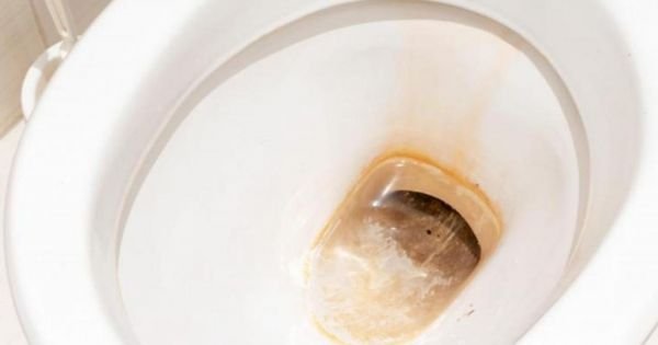 Un recurso inesperado para combatir el sarro en el inodoro La limpieza del baño es una tarea que, aunque a menudo se pos... Descubre más sobre nuestros, impa...