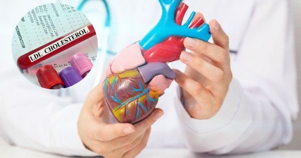 Un adiós a la nicotina: el primer paso hacia un corazón saludable La lucha contra el tabaco es una batalla que no conoce... Descubre más sobre envejecimiento...
