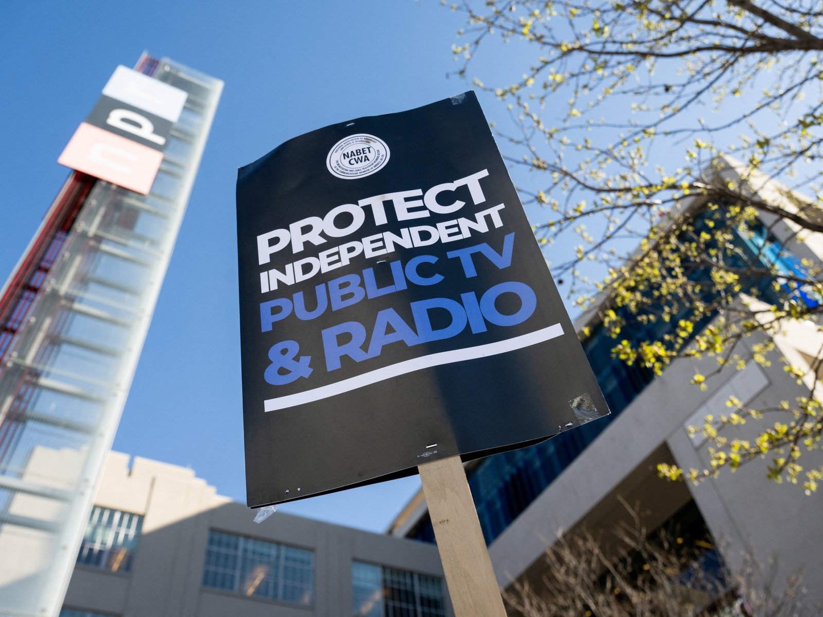 La batalla legal de PBS: defensa del servicio público frente a la censura En un movimiento que sacude los cimientos de l... Descubre más sobre méxico, descri...