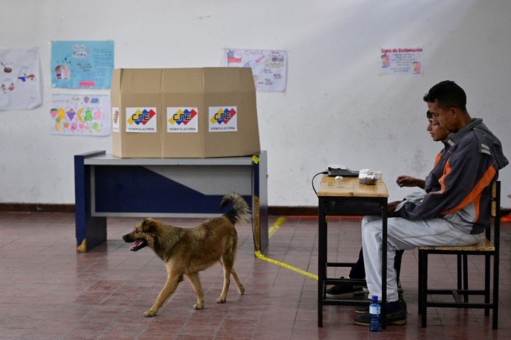 Un perro camina en un colegio electoral durante las elecciones parlamentarias de Venezuela, en Caracas, Venezuela. Foto Reuters