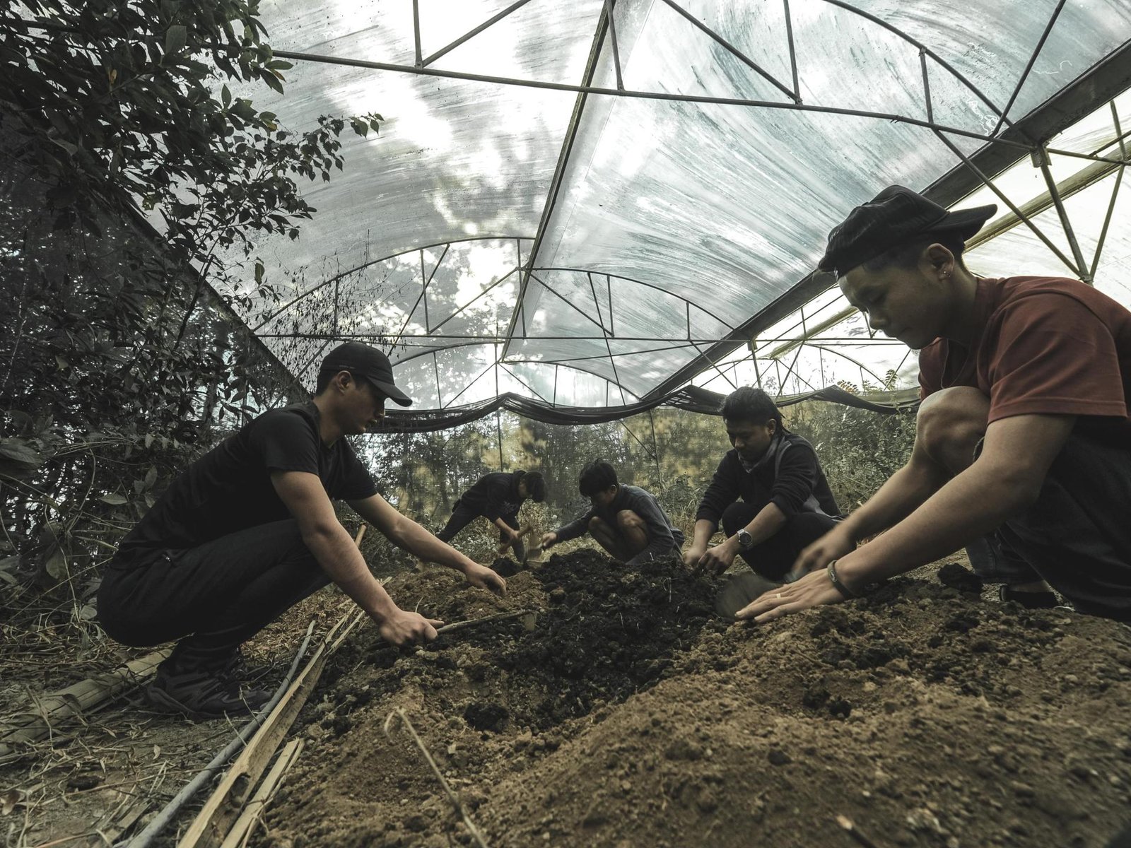Un nuevo amanecer para el café en Nagaland Más de 40 años después de que los primeros plantones llegaron a Nagaland, el ... Descubre más sobre nuevo, obstacu...