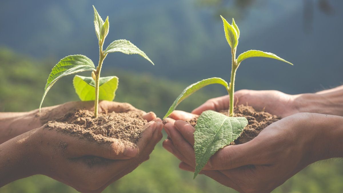 Un encuentro para la conciencia ambiental en el corazón de Buenos Aires El próximo jueves 5 de junio, la Universidad de ... Descubre más sobre acción, academ...