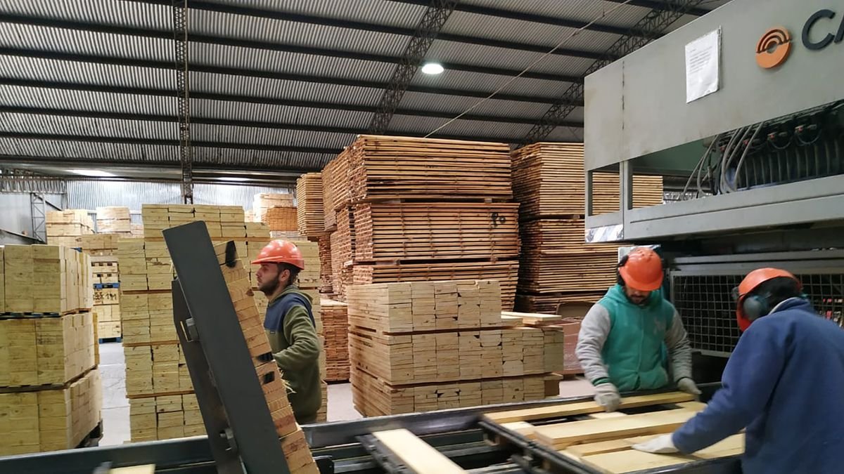 Explora los detalles sobre Industria: estiman que mejoró 1,2% mensual en abril, pero advierten que aumentaron los riesgos hacia adelante. Noticias actualizadas y análisis profundos en InfoNow.