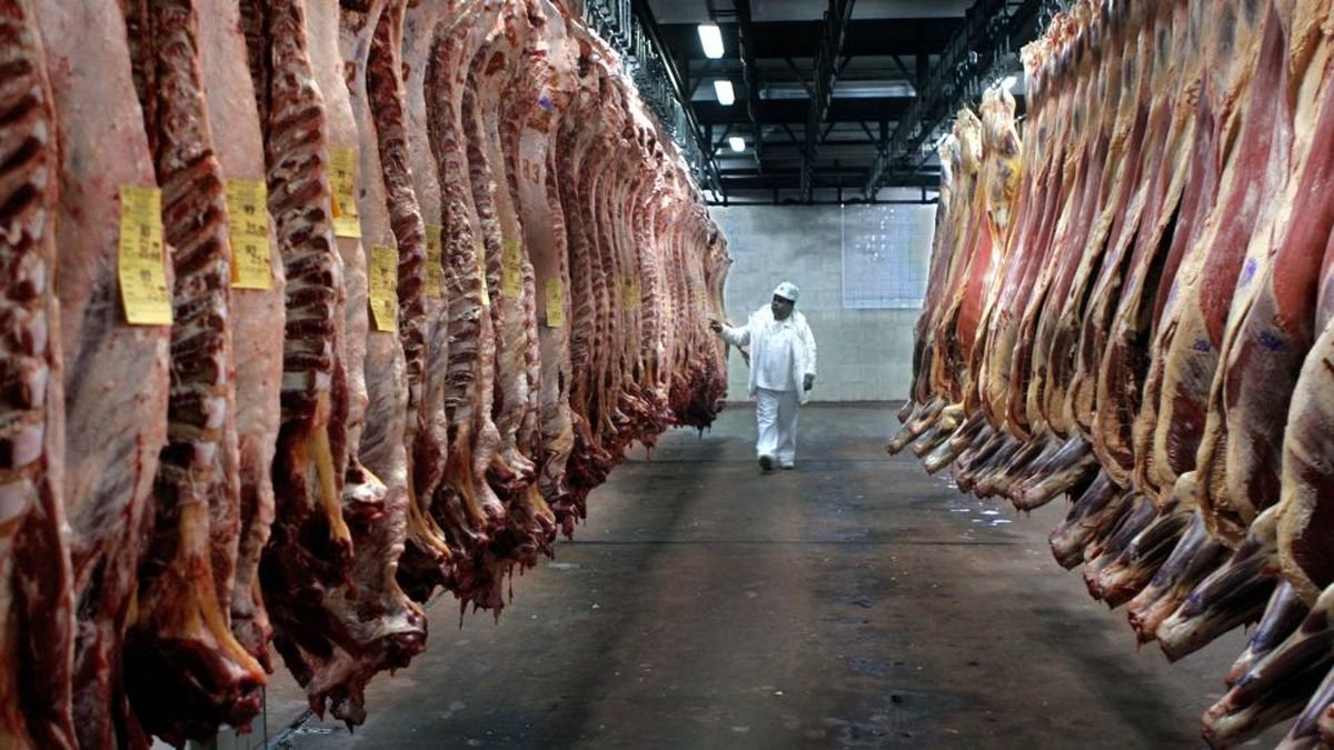 El dilema del asado: entre la tradición y las importaciones El panorama del mercado alimentario argentino se presenta ca... Descubre más sobre rusia, conjunt...