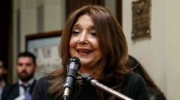La Libertad Avanza desplazó a Marisa Graham de la Defensoría de la Niñez y el organismo quedó acéfalo