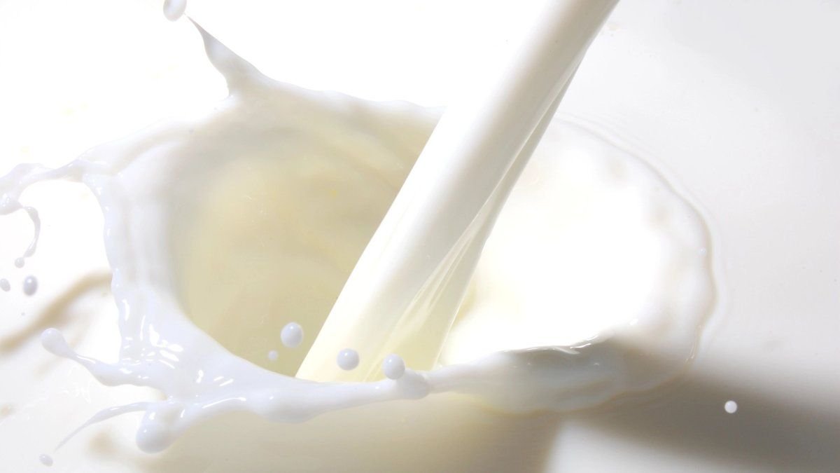La importancia de la leche en nuestra dieta: un legado que perdura Cada 1 de junio se celebra una fecha que no solo dest... Descubre más sobre contribución, ...