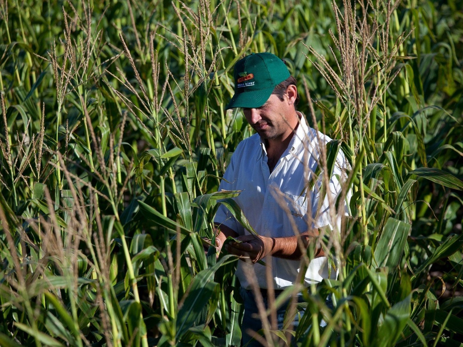 El papel fundamental de la inteligencia en la nueva economía En un mundo donde la competencia es feroz y la innovación s... Descubre más sobre resolver, inno...