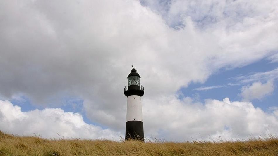 Islas Malvinas en El Cronista, Información General