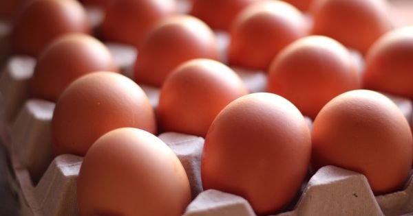 Exigen que el retiro urgente de todos los supermercados de este conocido aceite de oliva por ser ilegal en El Cronista, Información General