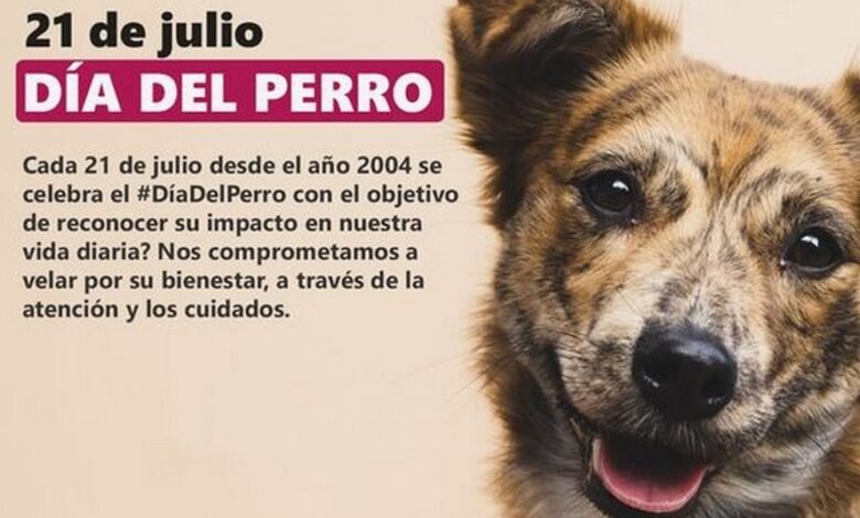Día Mundial del perro mestizo en El Cronista, Información General