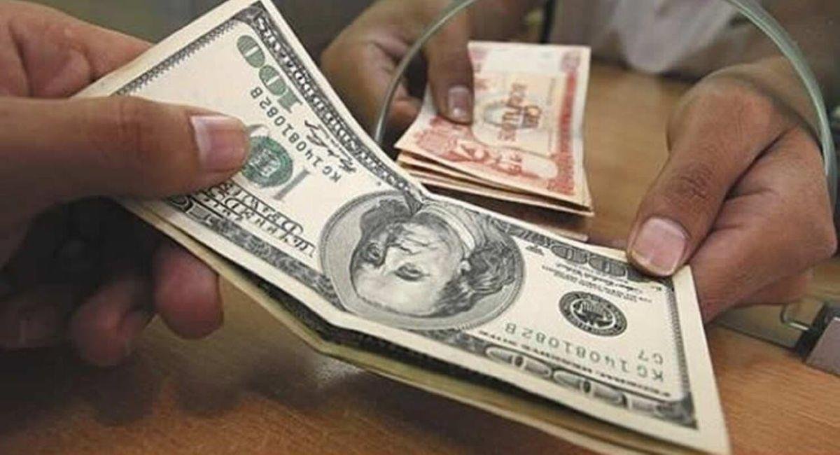 Compra de dólares se disparó a más de u$s 2000 millones tras la quita del cepo en El Cronista, Finanzas