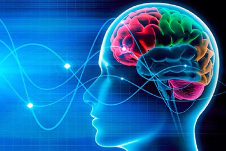 Cuidá tu cerebro en El Cronista, Información General