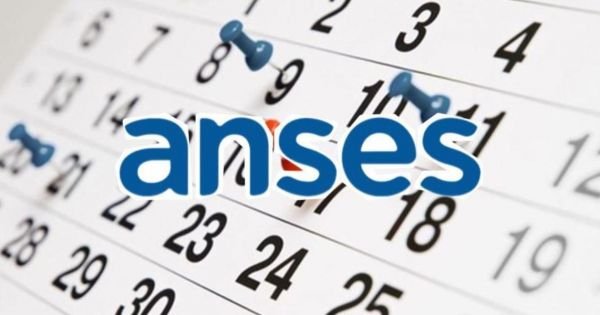 ANSES en El Cronista, Economía