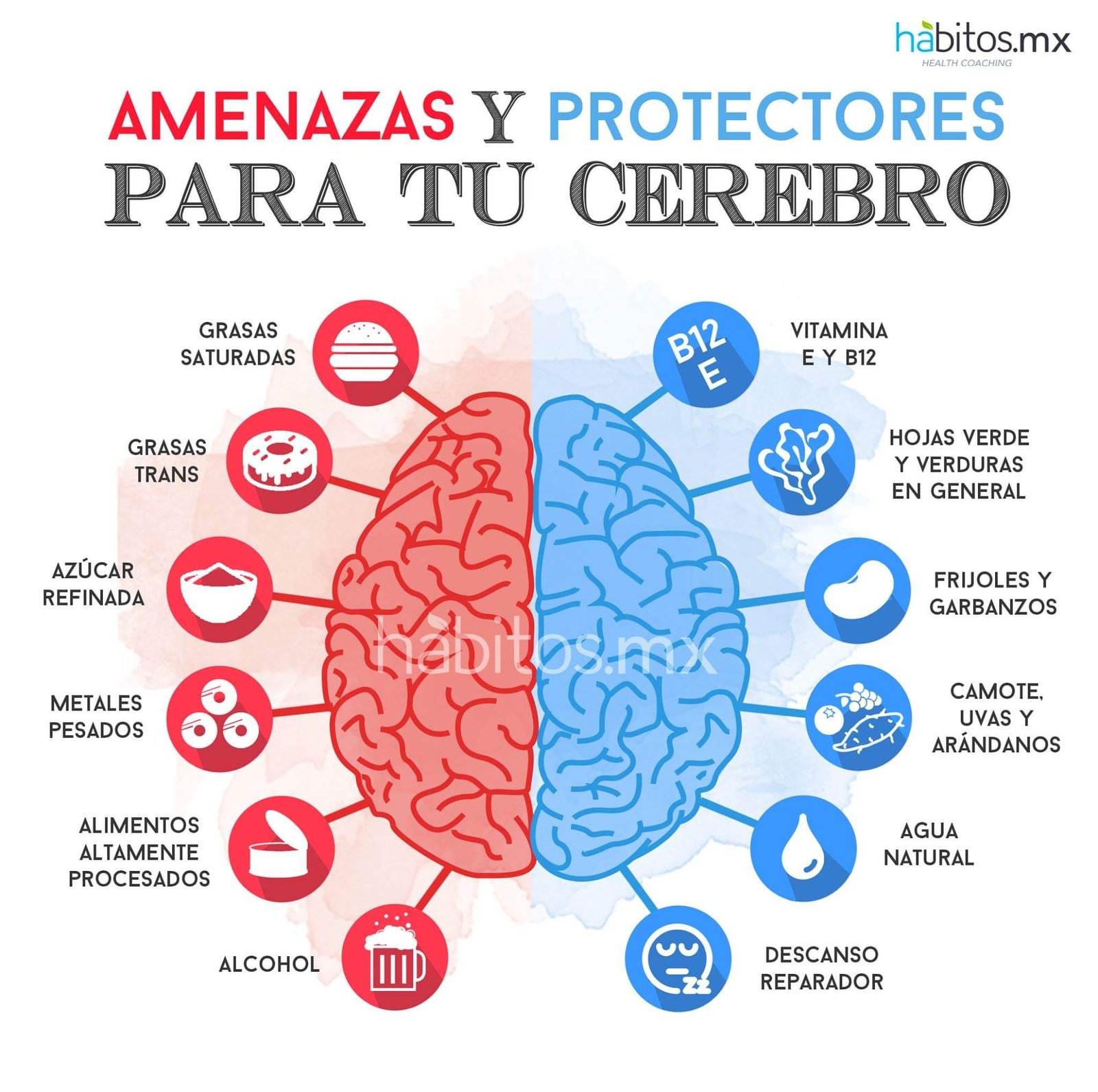 Cuidá tu cerebro en El Cronista, Información General