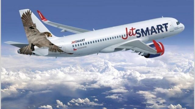 Jetsmart festejó su segundo lugar y anuncia dos aviones más en Aerolíneas, Destacados