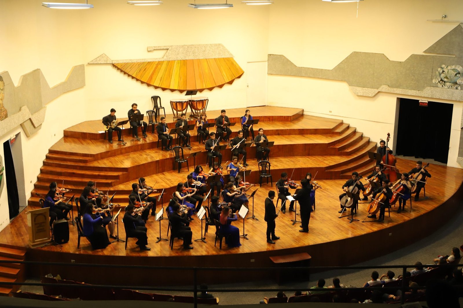 El nacimiento de la música de la Nueva Argentina La creación del primer conservatorio de música en 1873 Argentina