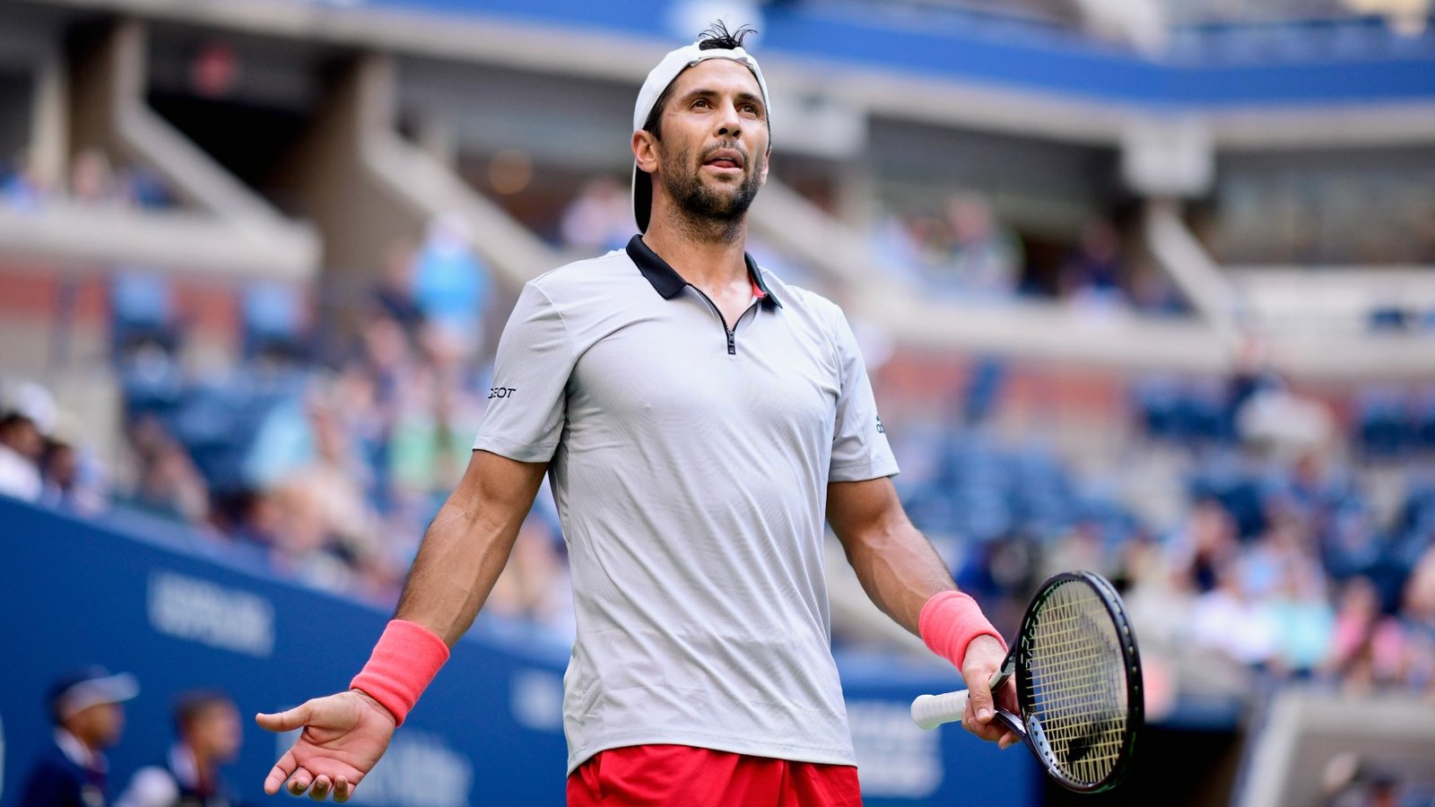 Fernando Verdasco argentina biografía
