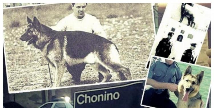 El l Perro en Argentina Homenaje a la Lealtad Argentina
