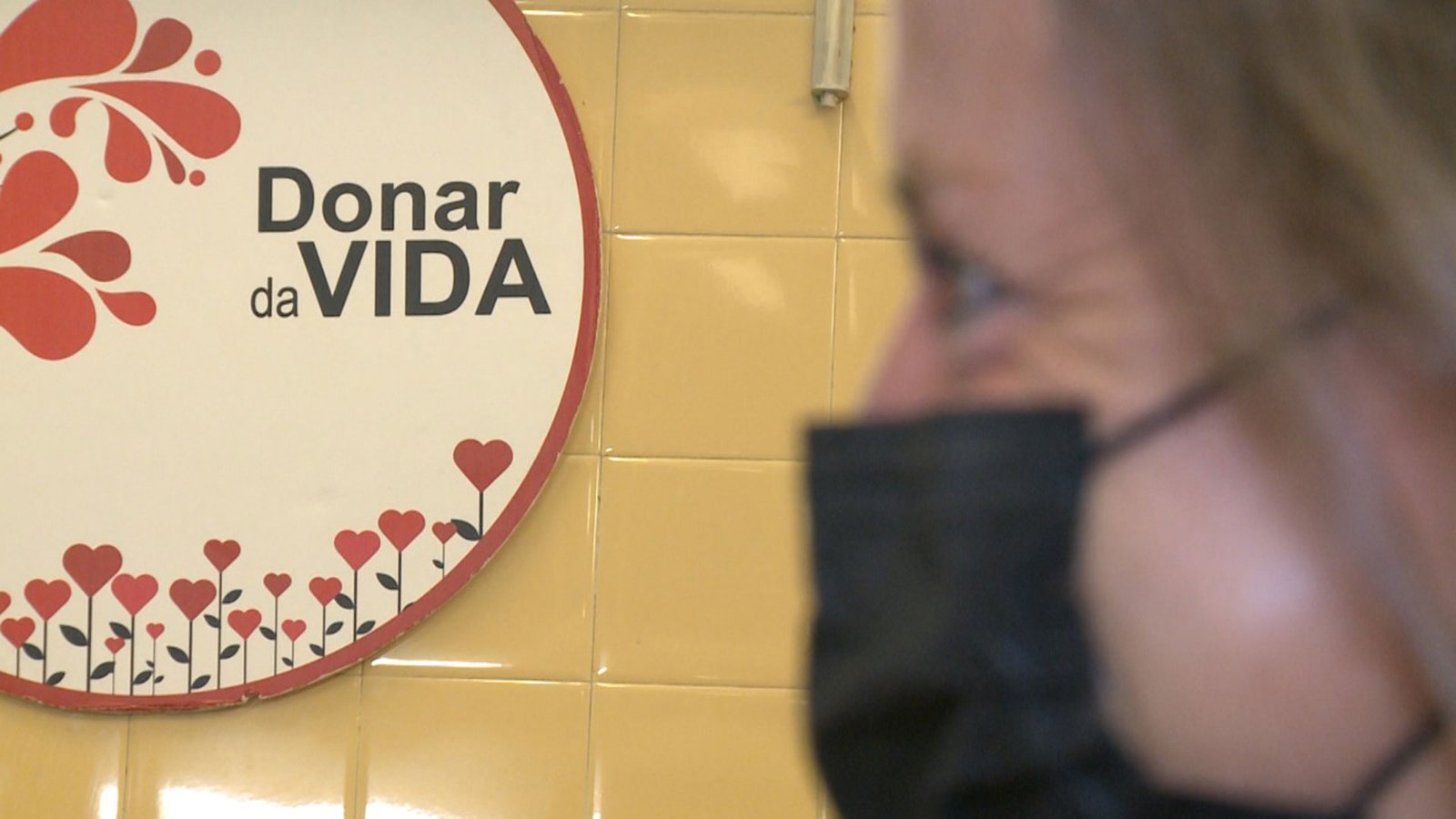 El l Donante Voluntario de Sangre en Argentina Argentina