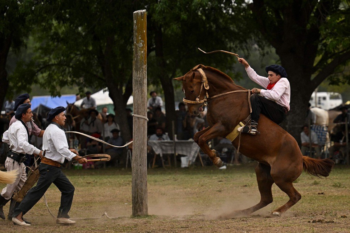 El l Caballo en Argentina Celebración de la Tradición y la Cultura Gauchesca Argentina