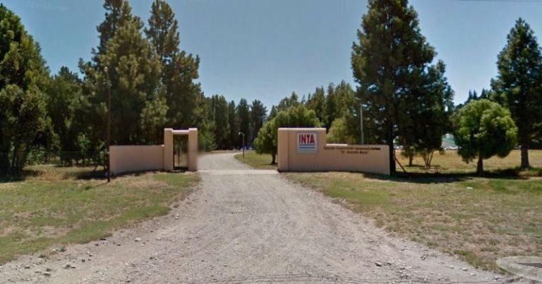 La creación del Instituto Nacional de Tecnología Agropecuaria INTA Argentina