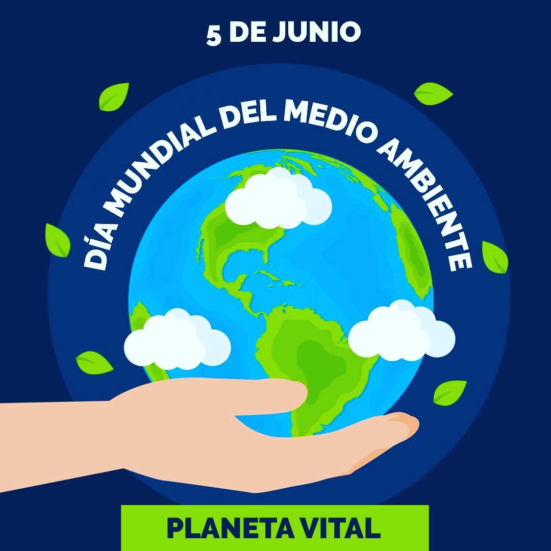 El Día Internacional del Medio Ambiente y su conexión con la lucha ambiental en Argentina Argentina