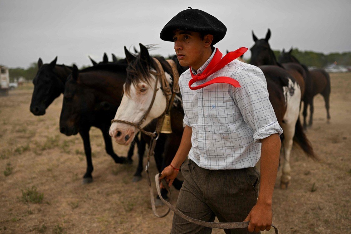 El l Caballo en Argentina Celebración de la Tradición y la Cultura Gauchesca Argentina