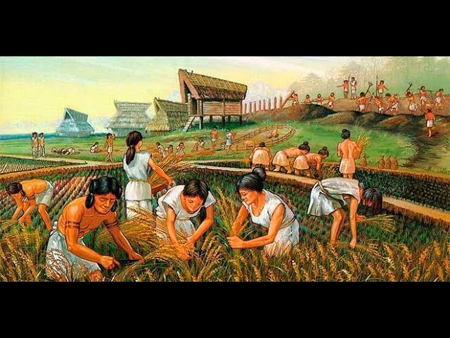 El nacimiento de la Agronomía en Argentina La creación de la primera Estación Experimental Argentina