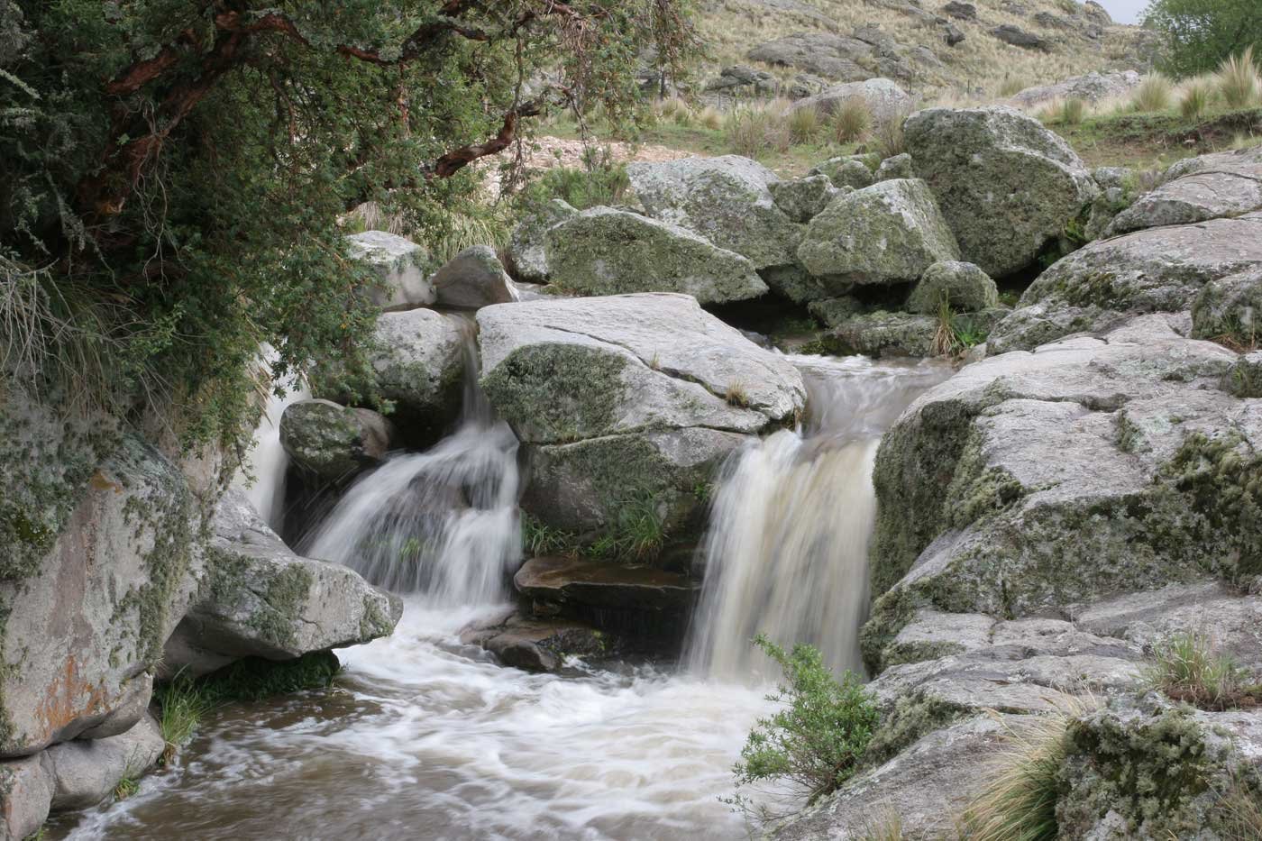 La fundación de la primera Reserva Natural de Argentina El Parque Nacional Quebrada del Condorito Argentina