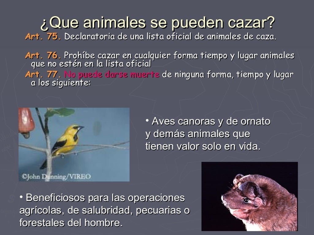 El nacimiento de la primera ley de protección de la fauna silvestre en Argentina Argentina