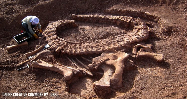 El nacimiento de la paleontología argentina El descubrimiento de los dinosaurios en Patagonia Argentina