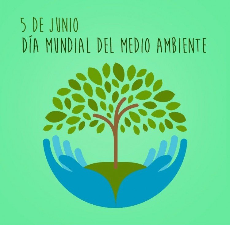 El Día Mundial del Medio Ambiente y su Impacto en Argentina Argentina