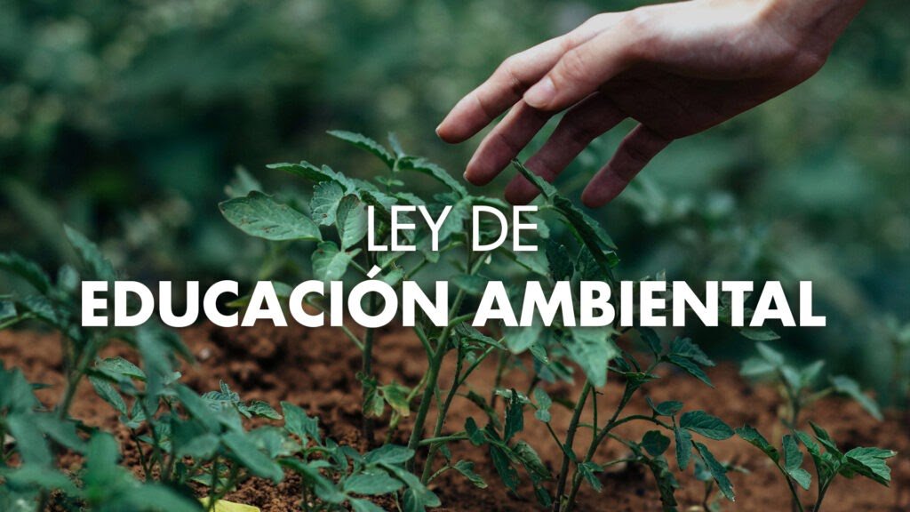 La Ley Nacional de Educación Ambiental Un hito por la conciencia ecológica Argentina