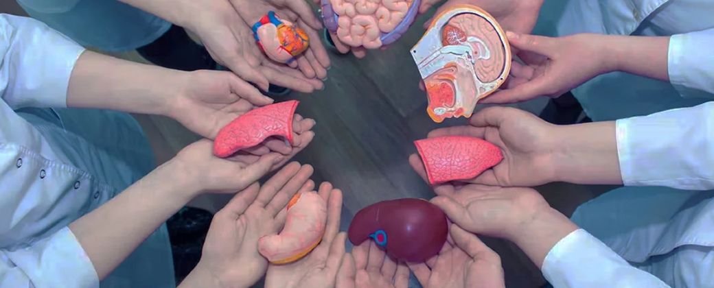 El la Donación de Órganos Un Hito en la Salud Argentina Argentina