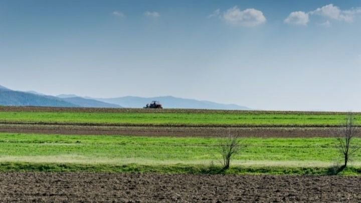 El nacimiento de la Agronomía en Argentina La creación de la primera Estación Experimental Argentina