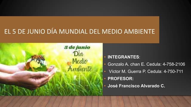El Día Mundial del Medio Ambiente y su Impacto en Argentina Argentina