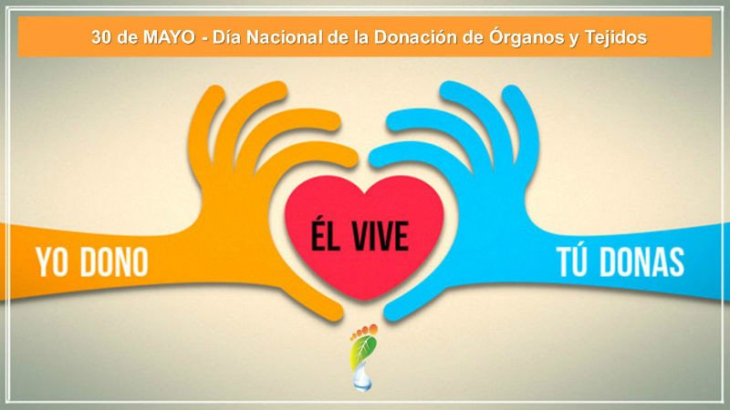 El la Donación de Órganos Un Hito en la Salud Argentina Argentina