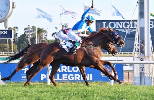 El Primer l Turf Argentino Argentina