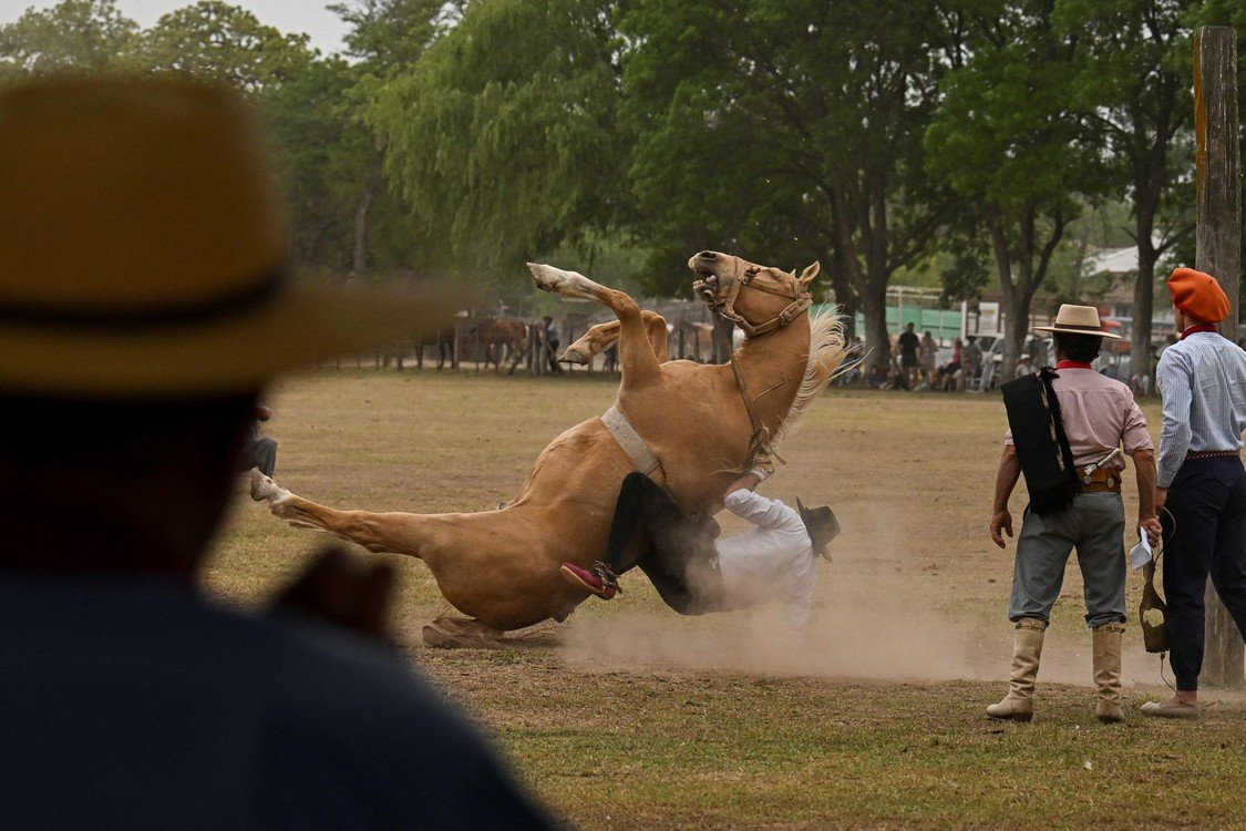El l Caballo en Argentina Celebración de la Tradición y la Cultura Gauchesca Argentina