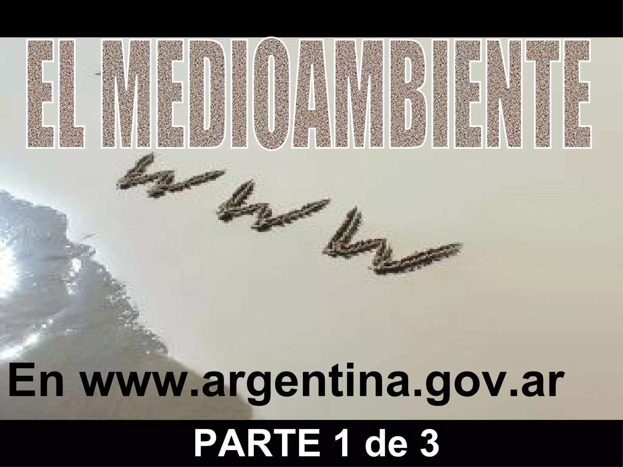 El l Medio Ambiente en Argentina Conciencia y Acciones desde 1972 Argentina