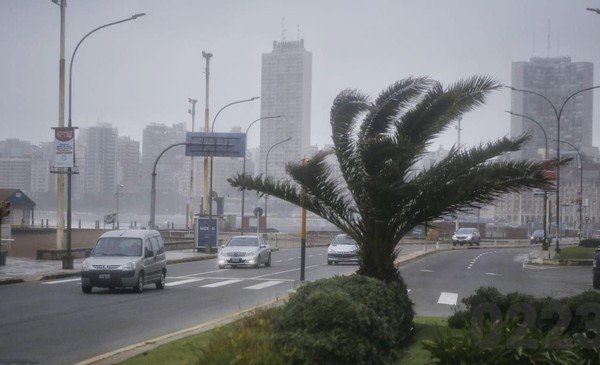 Imagen destacada de noticia