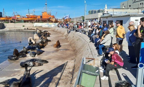 Imagen destacada de noticia